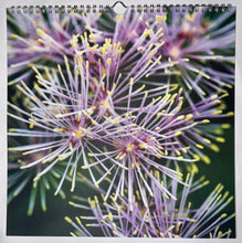 Load image into Gallery viewer, Kalender 2024  Natures Details
