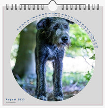 Lade das Bild in den Galerie-Viewer, Kalender 2023  Hunde
