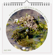 Lade das Bild in den Galerie-Viewer, Kalender 2023  Natures Details
