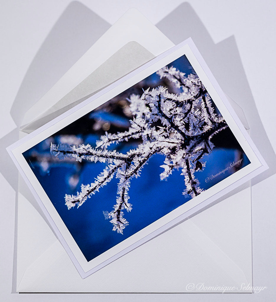 Twig in the frost - Greeting card DinA 6