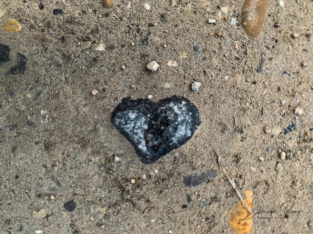 Heart of stone - Greeting card DinA 5