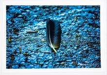 Load image into Gallery viewer, Crow feather - Greeting card DinA 6
