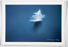 Load image into Gallery viewer, Swan feather - Greeting card DinA 5
