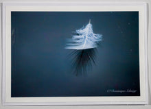 Load image into Gallery viewer, Swan feather - all variations 
