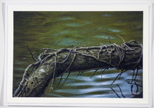 Lade das Bild in den Galerie-Viewer, Ast von Efeu umrankt im Wasser - Grußkarte DinA 6
