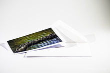 Load image into Gallery viewer, Branch entwined in ivy in the water - Greeting card DinA 6
