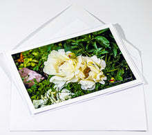 Load image into Gallery viewer, Peonies white - Greeting card DinA 5
