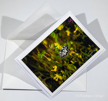 Load image into Gallery viewer, Marbled white (Melanargia galathea)- Greeting card DinA 6
