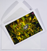 Load image into Gallery viewer, Marbled white (Melanargia galathea)- Greeting card DinA 5
