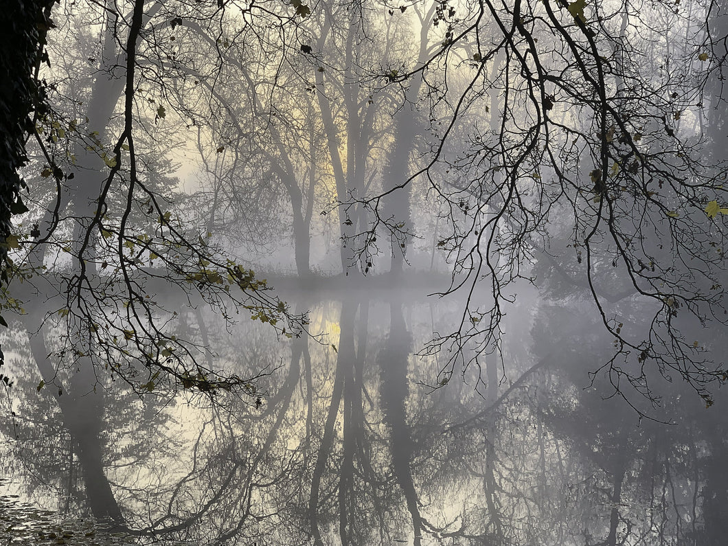 November mist - Postcard DinA 6