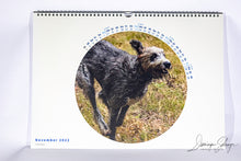 Lade das Bild in den Galerie-Viewer, Kalender 2022  Irischer Wolfshund
