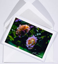 Load image into Gallery viewer, English Rose - Abraham Darby - Greeting card DinA 5
