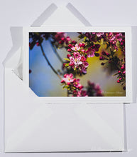 Lade das Bild in den Galerie-Viewer, Apfelblüte - Grußkarte DinA 5
