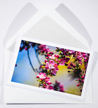 Load image into Gallery viewer, Apple blossom - Greeting card DinA 5

