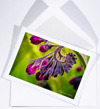 Load image into Gallery viewer, Comfrey blossom - all variations
