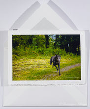 Lade das Bild in den Galerie-Viewer, Crooked House Dornröschen wet &amp; wild - Grußkarte DinA 6

