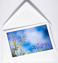 Load image into Gallery viewer, Creeping Veronica / Speedwell - Greeting card DinA 6

