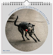 Lade das Bild in den Galerie-Viewer, Kalender 2023  Hunde
