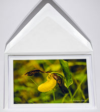 Load image into Gallery viewer, Yellow lady&#39;s slipper in the woods - all variations 
