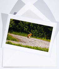 Load image into Gallery viewer, Brown hare having his morning bath - Greeting card DinA 5
