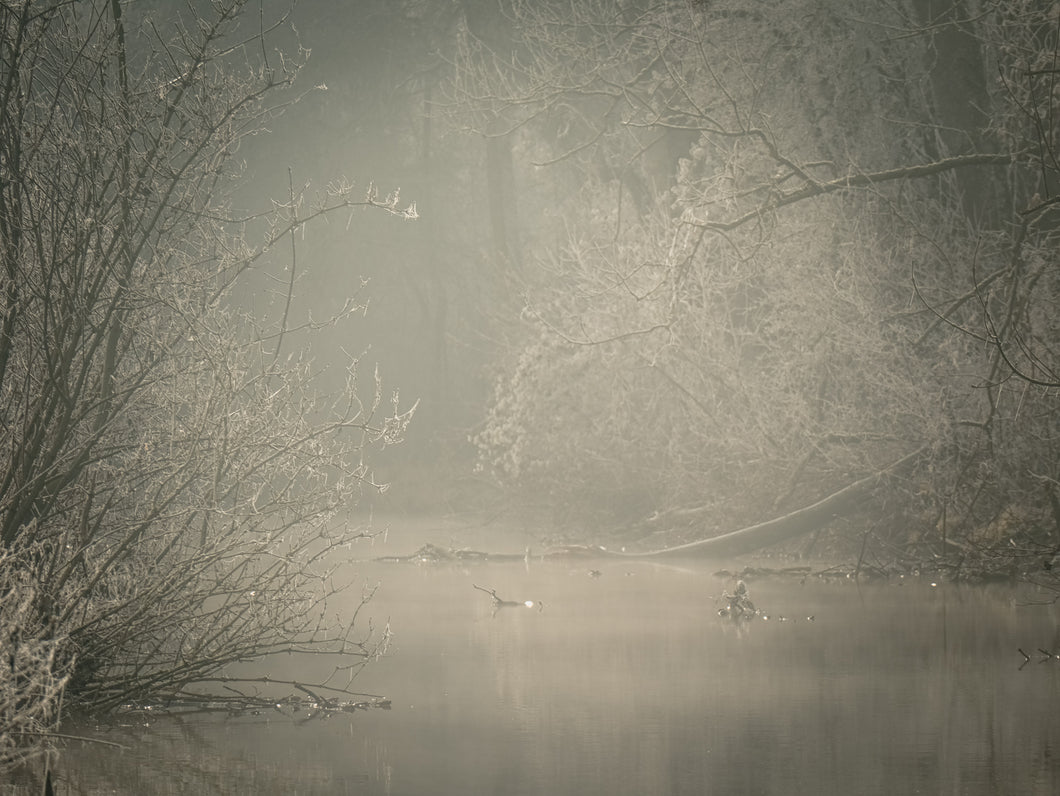 November mist - Postcard DinA 6