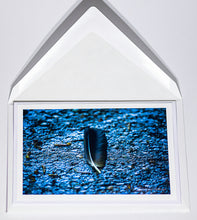 Load image into Gallery viewer, Crow feather - Greeting card DinA 6
