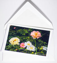 Load image into Gallery viewer, Peonies - Greeting card DinA 6
