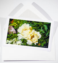 Load image into Gallery viewer, Peonies white - Greeting card DinA 5
