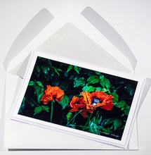 Load image into Gallery viewer, Red poppies - Greeting card DinA 6
