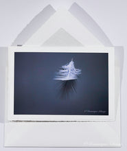 Load image into Gallery viewer, Swan feather - Greeting card DinA 5
