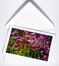 Load image into Gallery viewer, Mossy Saxifrage - Greeting card DinA 5
