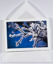 Load image into Gallery viewer, Twig in the frost - Greeting card DinA 6
