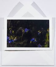 Lade das Bild in den Galerie-Viewer, Blaue Akelei (Aqulegia vulgaris) - Grußkarte DinA 5
